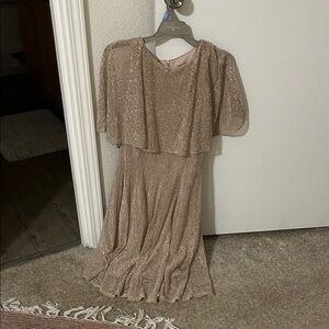 Danny & Nicole Shimmering Gold Maxi Dress